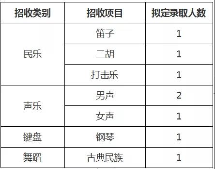 东华大学2019年高水平艺术团招生简章