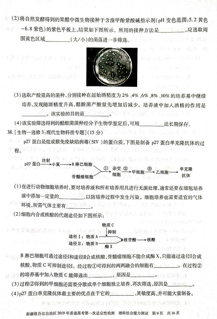 2019新疆第一次适应性检测理综试卷及参考答案