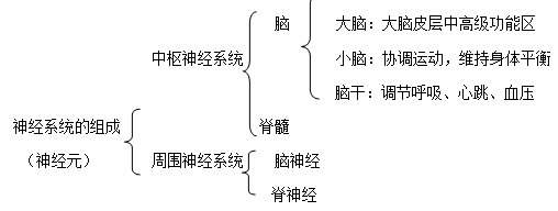 2019长沙生地会考生物知识点复习提纲：生物圈中的人