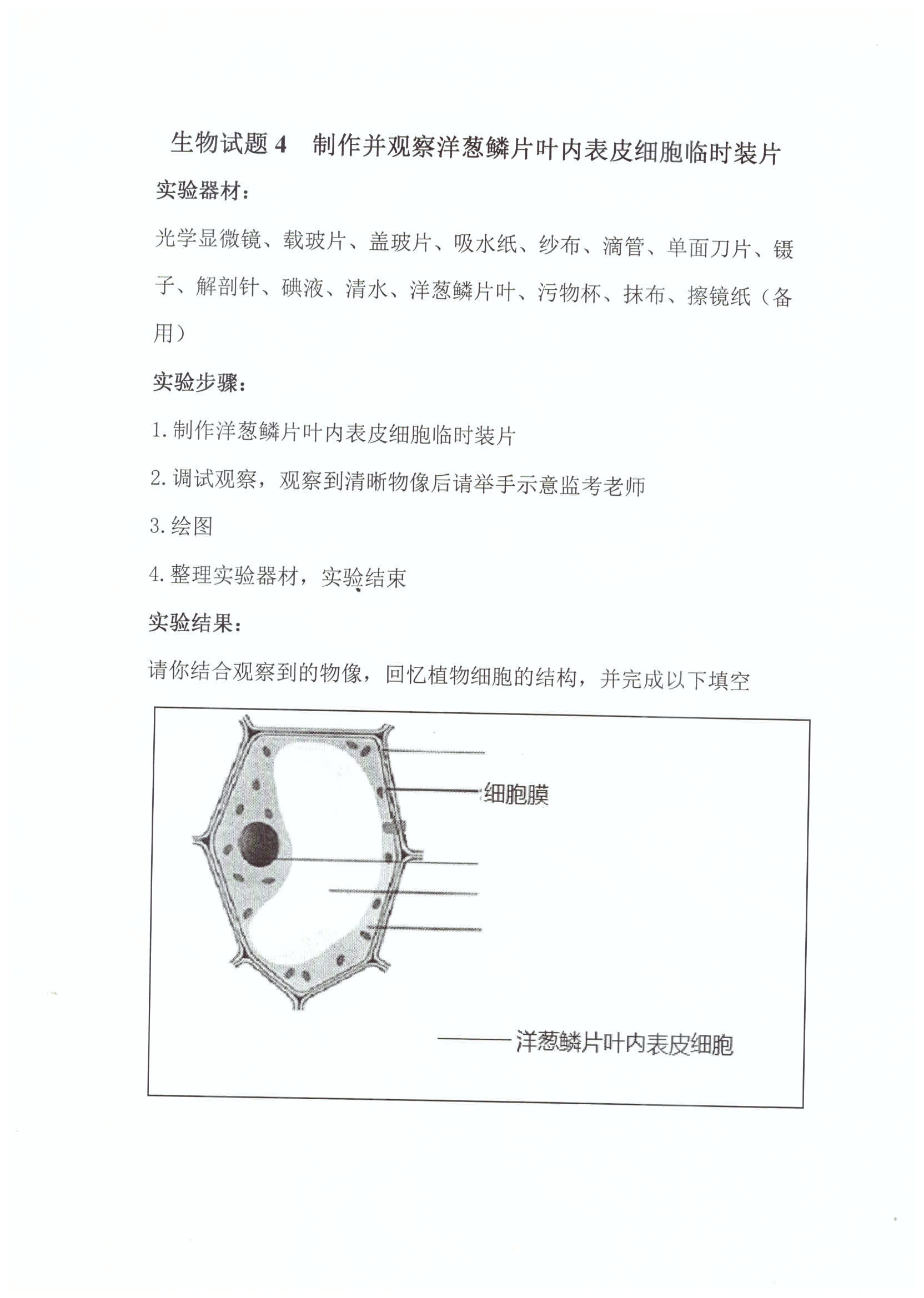 初中初一人教版七年级上册生物学全册教案下载_初中生物教案下载_初中八年级生物教案