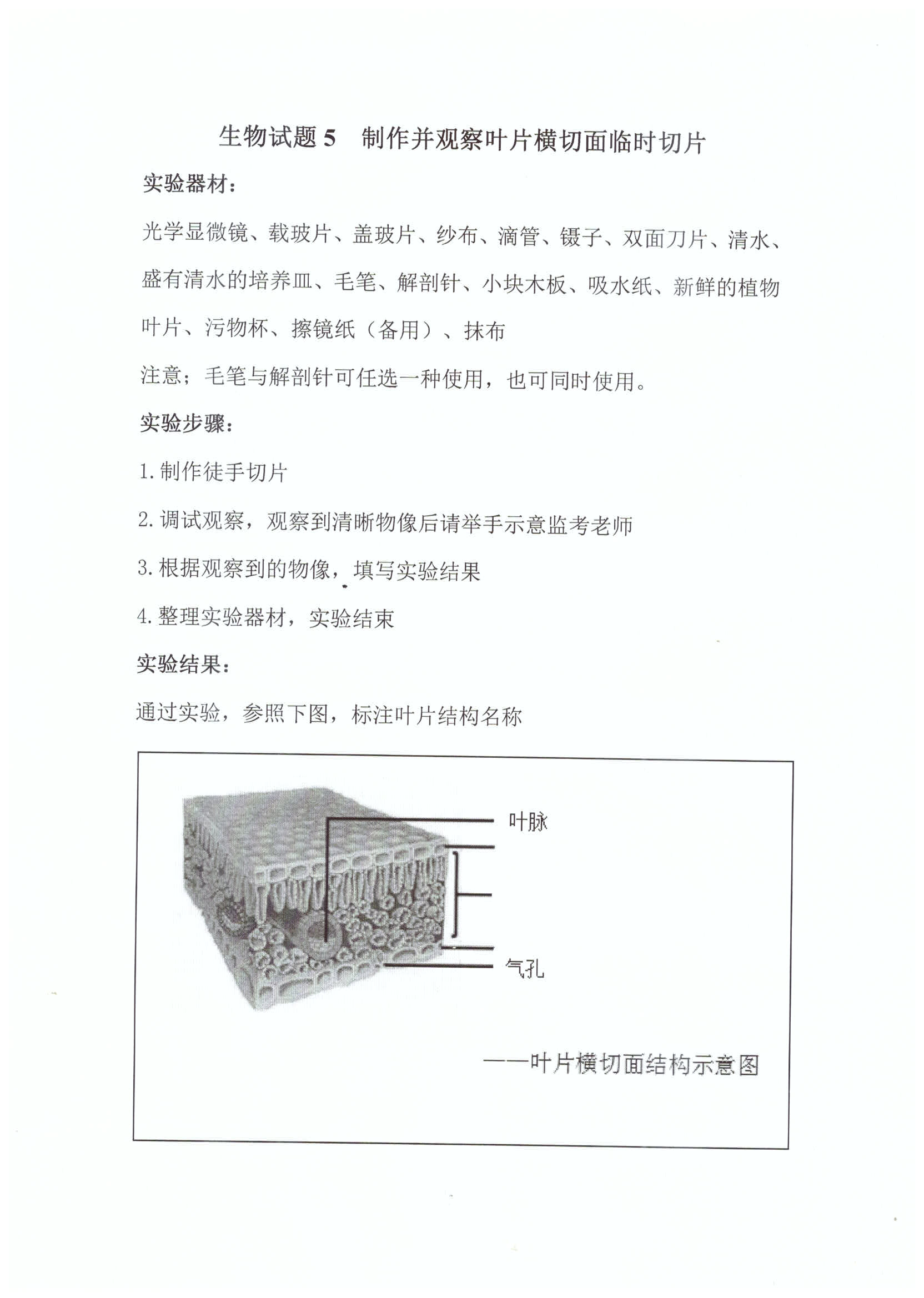 2019阳泉中考生物实验操作试题:观察叶片横切面