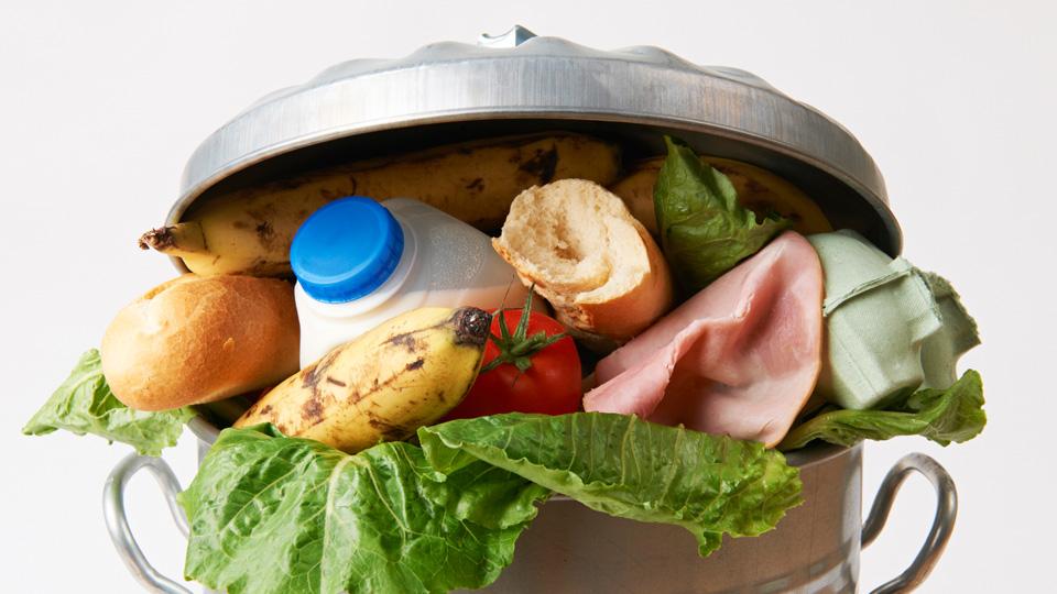 Tackling food waste and obesity 解决食物浪费和肥胖问题