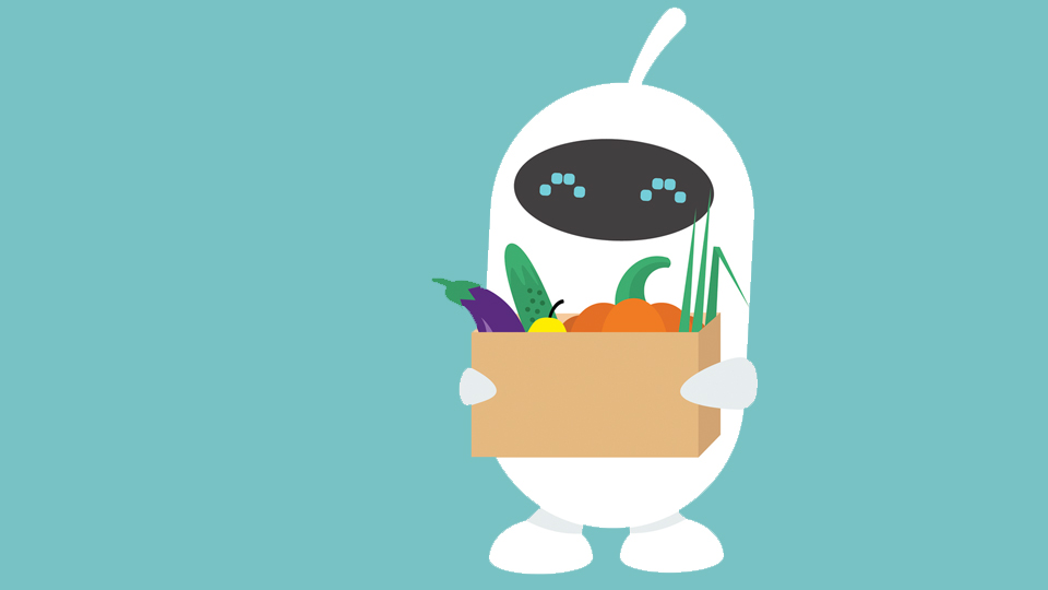 Robot grocery deliveries 机器人送货员