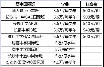 多维度分析长沙公办国际班与民办国际学校的区别