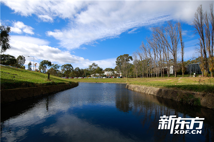 澳国立大学校园景色2