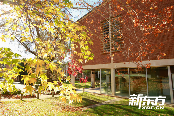 澳国立大学校园景色1