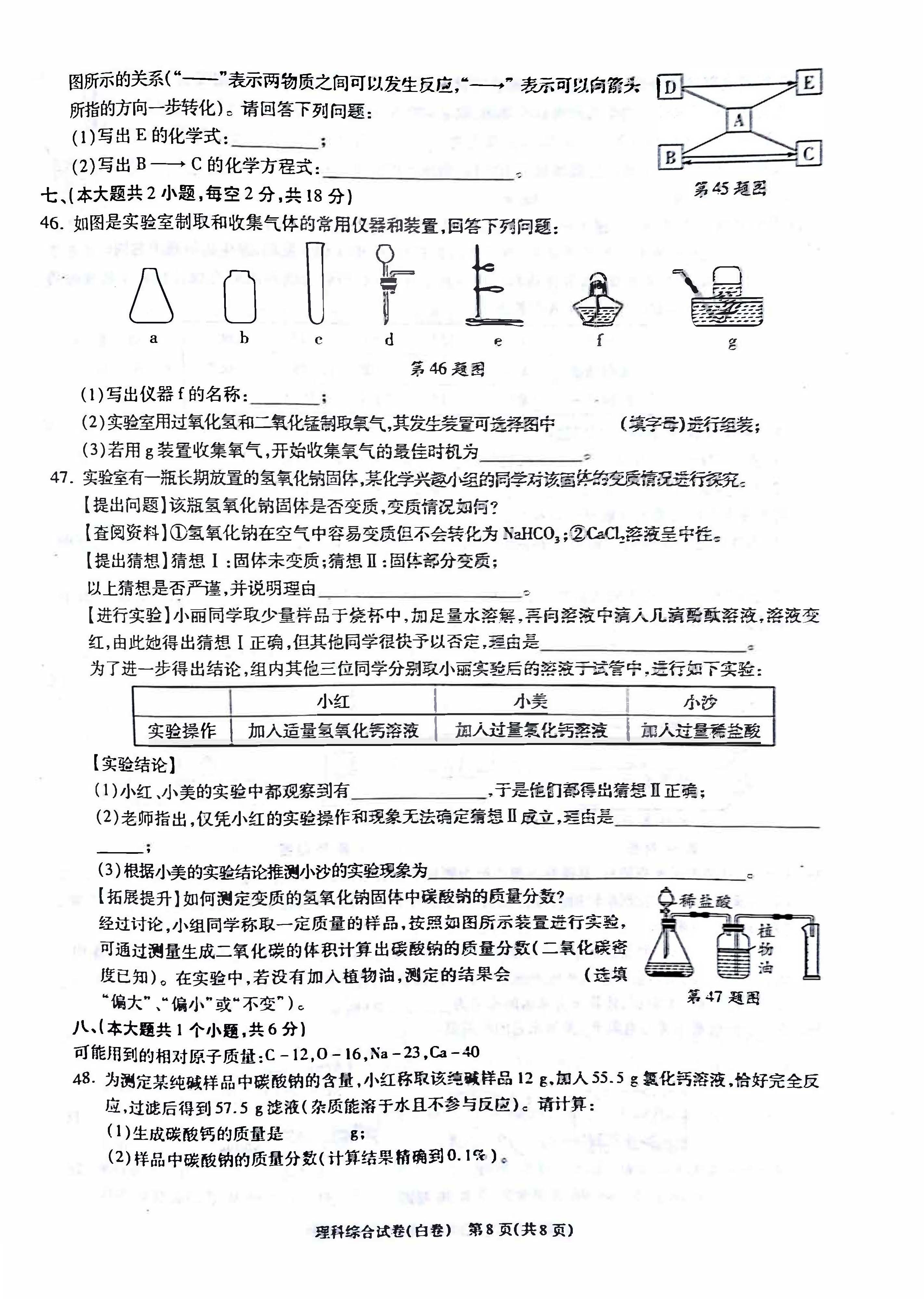 2019年长沙中考模拟试卷理科综合白卷(二)