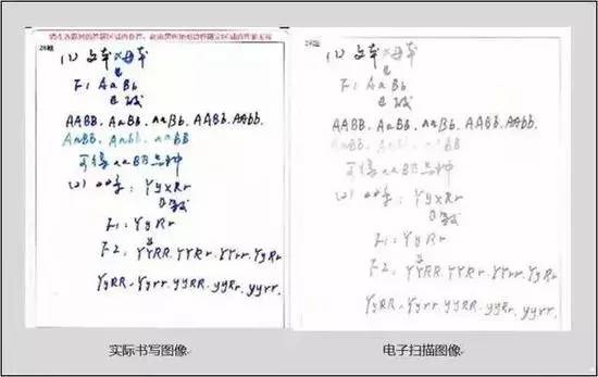 郑州新东方温馨提示河南中考