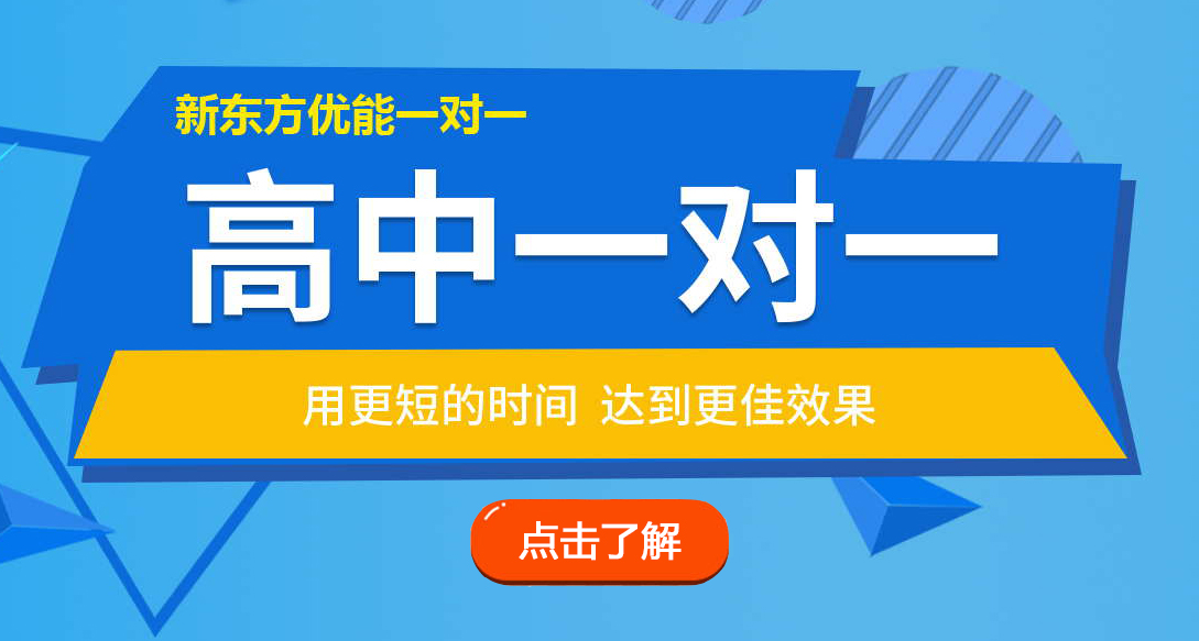 郑州新东方高中一对一