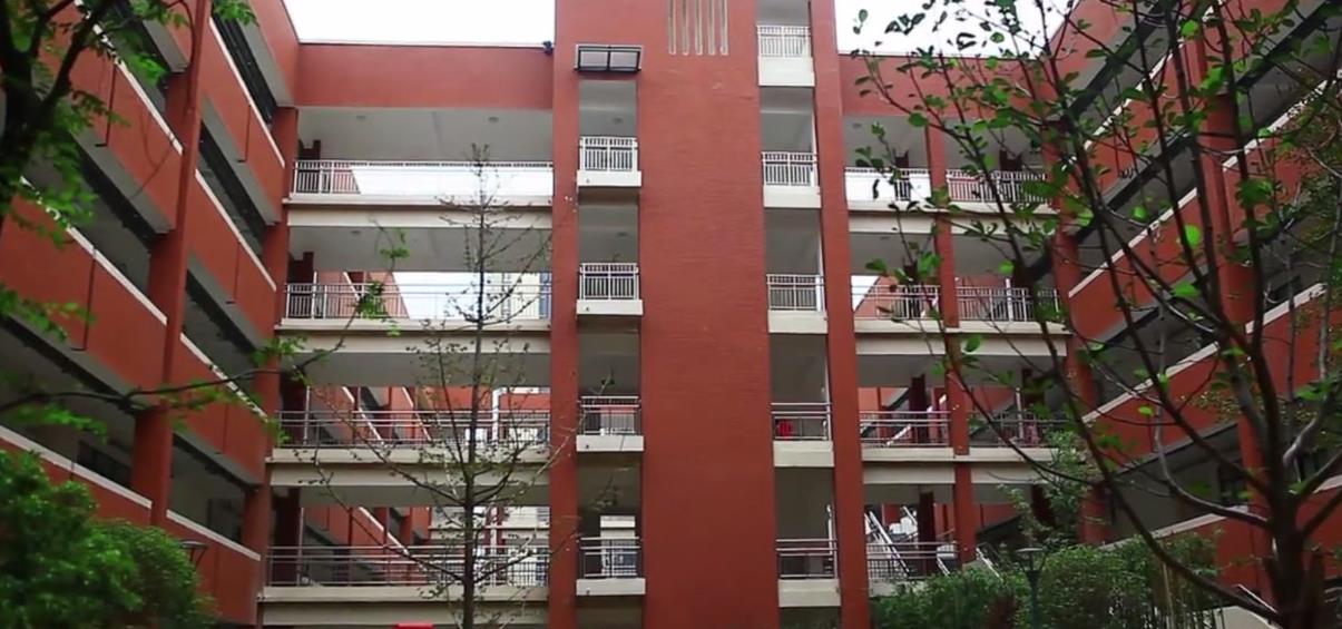 育新学校九龙湖分校