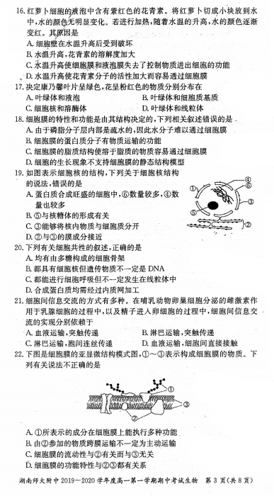 2019湖南长沙师大附中上学期高一生物期中考试试卷