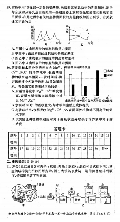 2019湖南长沙师大附中上学期高一生物期中考试试卷