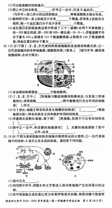 2019湖南长沙师大附中上学期高一生物期中考试试卷