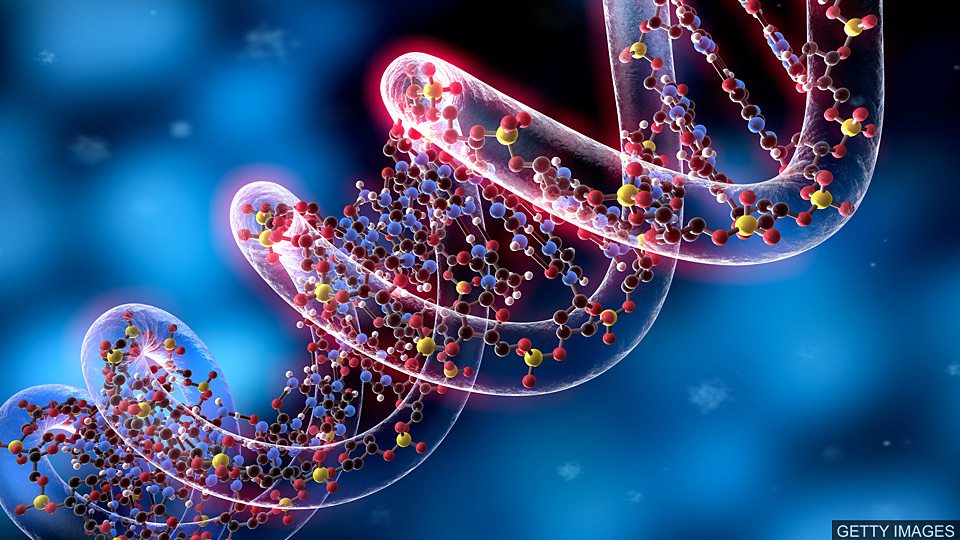Discovering the code of all life 探寻地球所有生命的密码