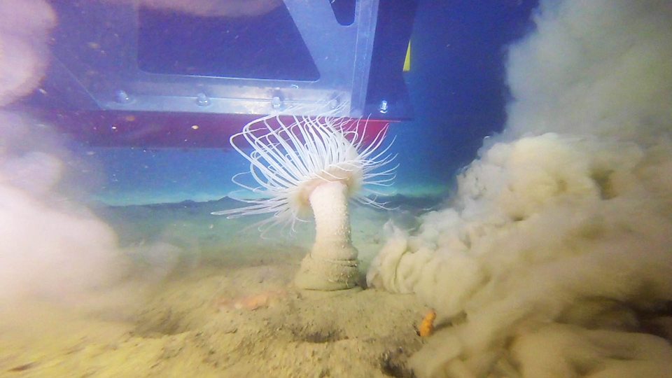 Deep-sea mining 深海采矿