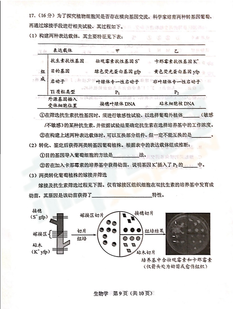 高考模拟试卷,天津高考生物模拟试卷