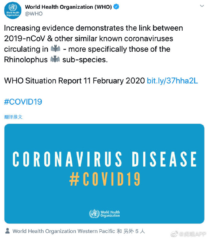 世卫组织最新疫情报告：新冠病毒与菊头蝠冠状病毒有关联