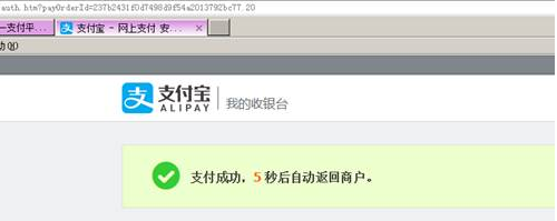 支付成功