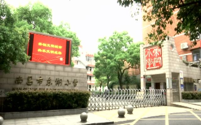 2020南昌东湖小学学区范围
