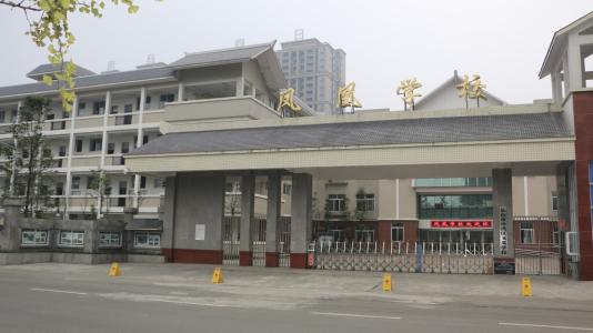 2020凤凰学校招生地段
