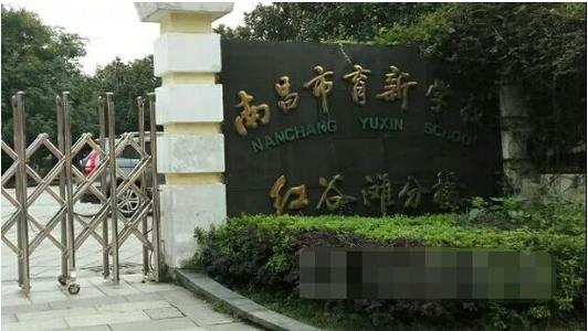 2020育新红谷滩分校学区范围
