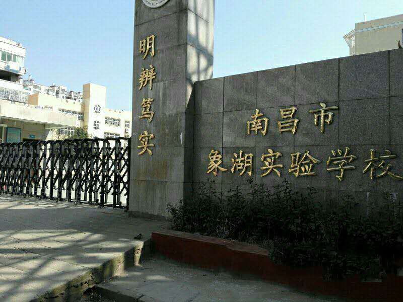 2020象湖实验学校学区范围

