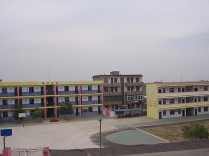 2020枫下小学学区范围
