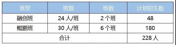 招生计划