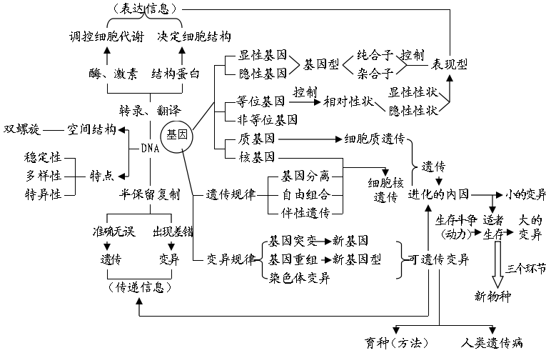 高中生物思维导图l收藏