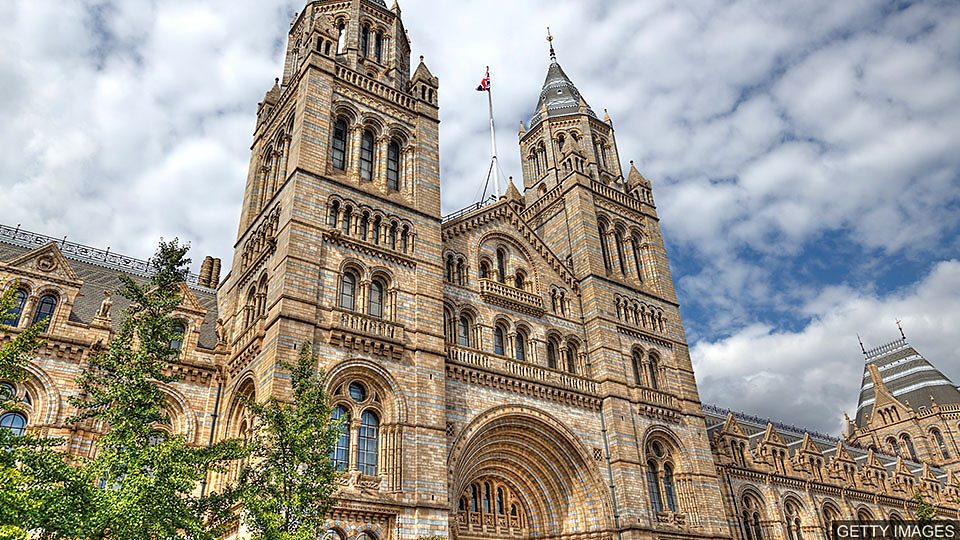 Famous London museum reopens 英国自然历史博物馆重新开放