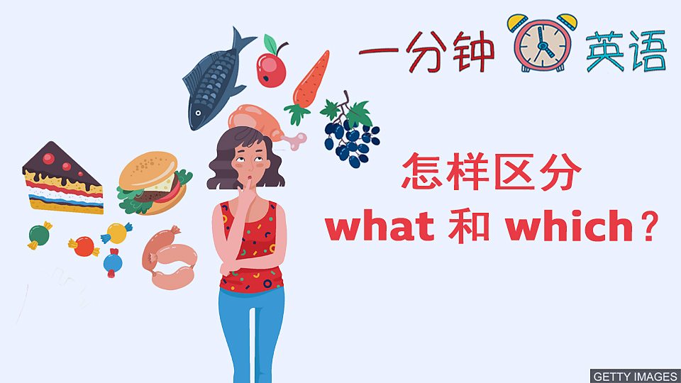  怎样区分 what 和 which？