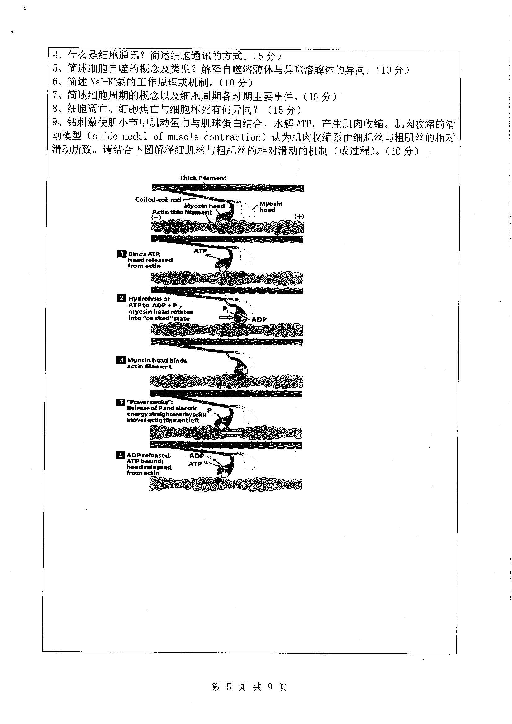 656-基础医学综合2020年考研初试试卷真题（扬州大学）
