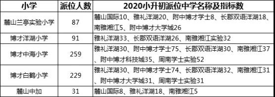 作为河西最热门板块之一，洋湖不仅在经济发展上穷追不舍，在教育资源的争取上更是铆足了劲儿!五年前，洋湖新城发布的《教育资源白皮书》中提到，洋湖新城共规划有14所中小学校，可提供3.24万个学位。