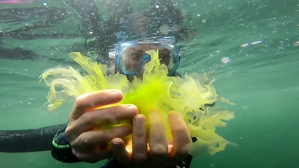  发展海洋养殖业 未来食物有水可依 Farming the sea for the future of food