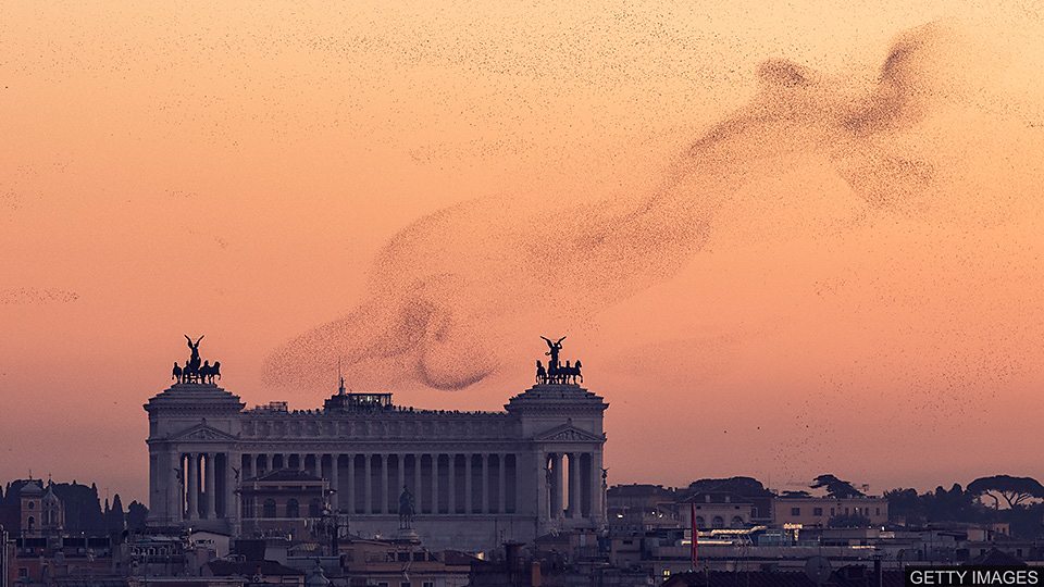  罗马市政府为维护城市环境 用激光驱赶欧椋鸟 Dealing with Rome’s starling problem