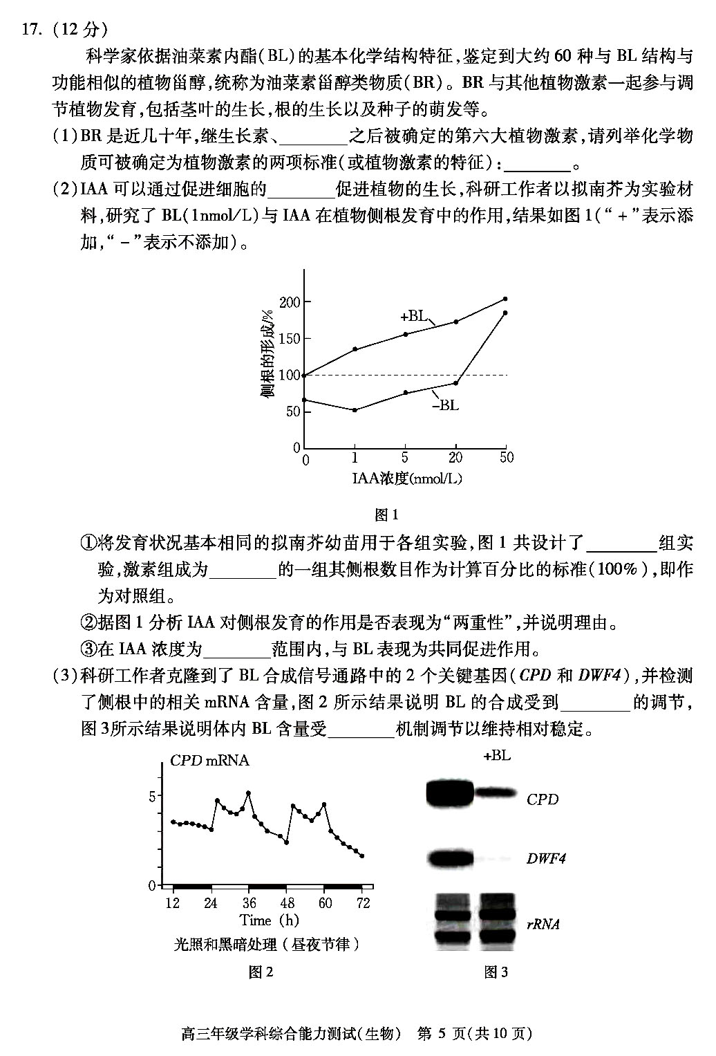 2020-2021北京市高三学业水平等级性适应性测试生物试卷和答案