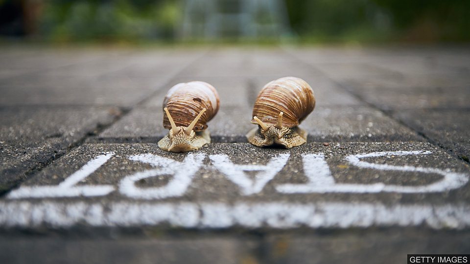 慢如蜗牛 At a snail’s pace  慢如蜗牛 At a snail’s pace