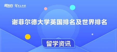 谢菲尔德大学英国排名及世界排名