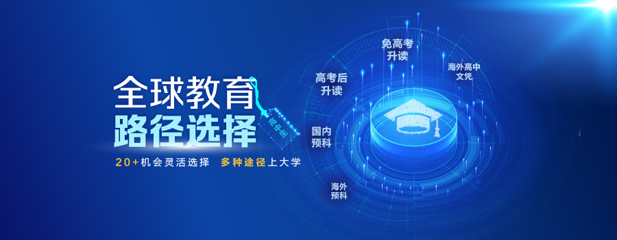 全球教育路径选择