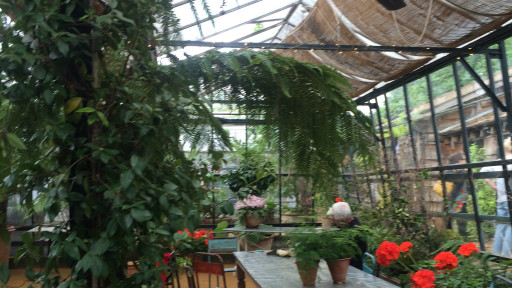 玩转英伦：屋顶漏风的米其林咖啡花园