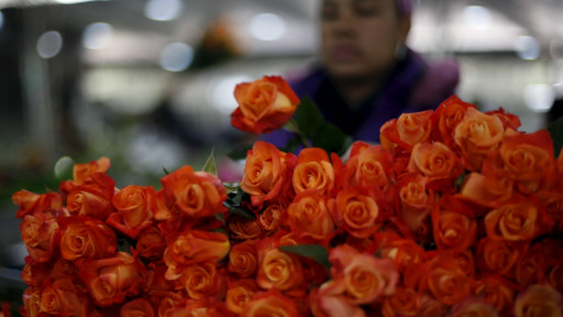 玩转英伦：情人节的送礼学问