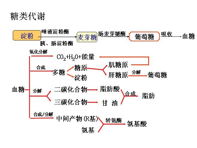 蛋清的功效和作用