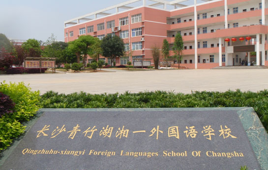 三林镇中心小学_镇小学中心三林校区地址_三林镇中心小学是第几梯队