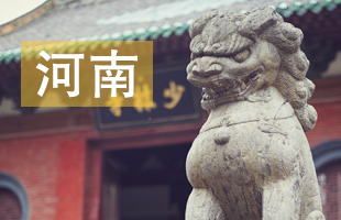 2021河南省中考录取结果查询