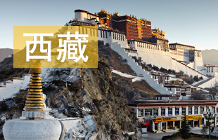 2021西藏中考录取结果查询