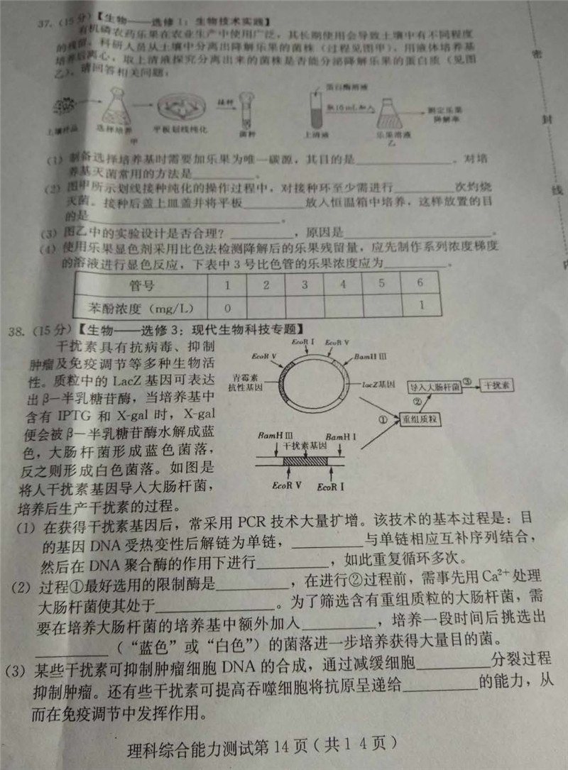 主站中学 高考 高中试题库 模拟试题 期中期末试卷 理综>正文