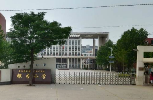 安阳市银杏小学南校区图片