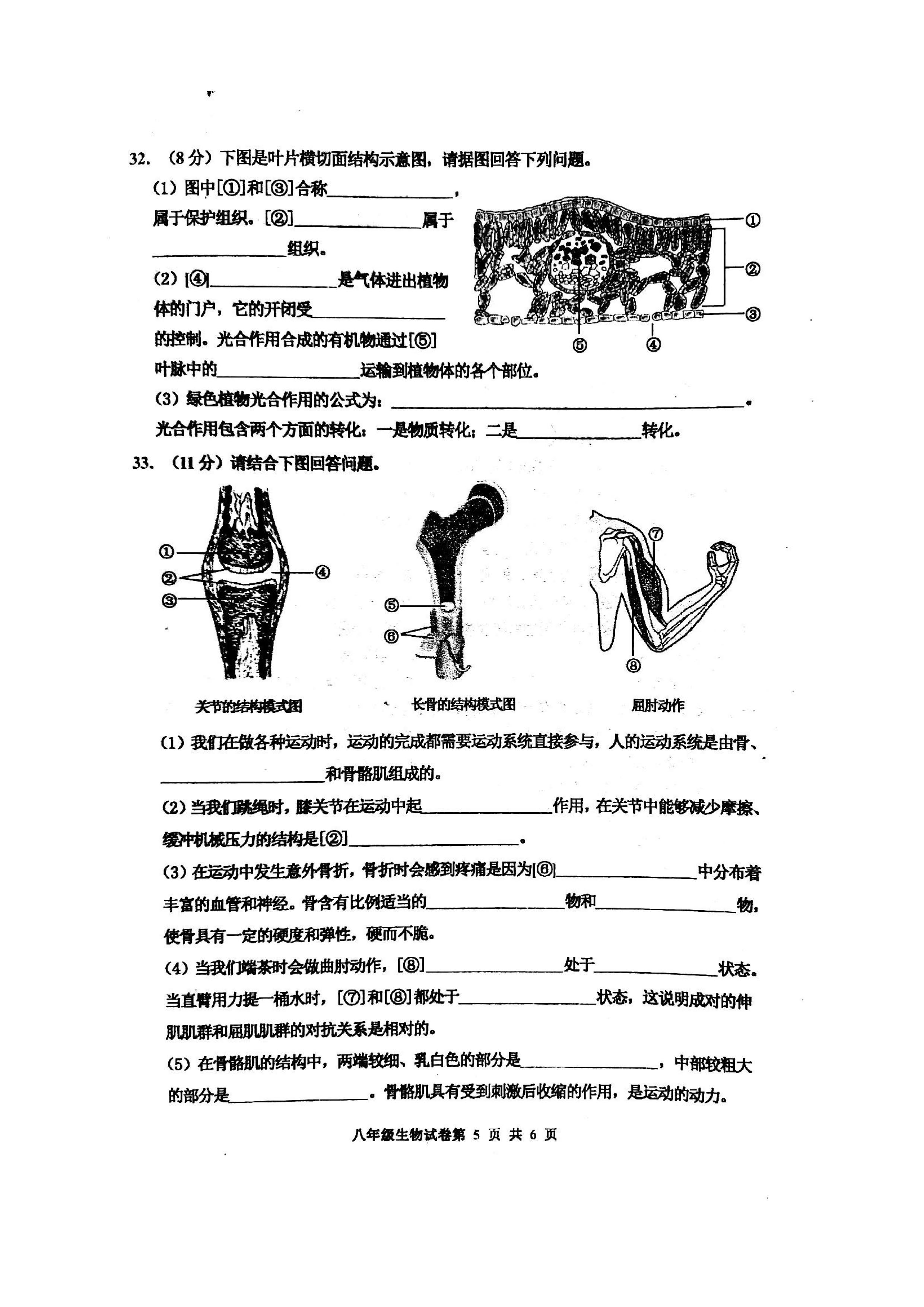 20192020唐山市路南区八年级生物上册期末试题含答案