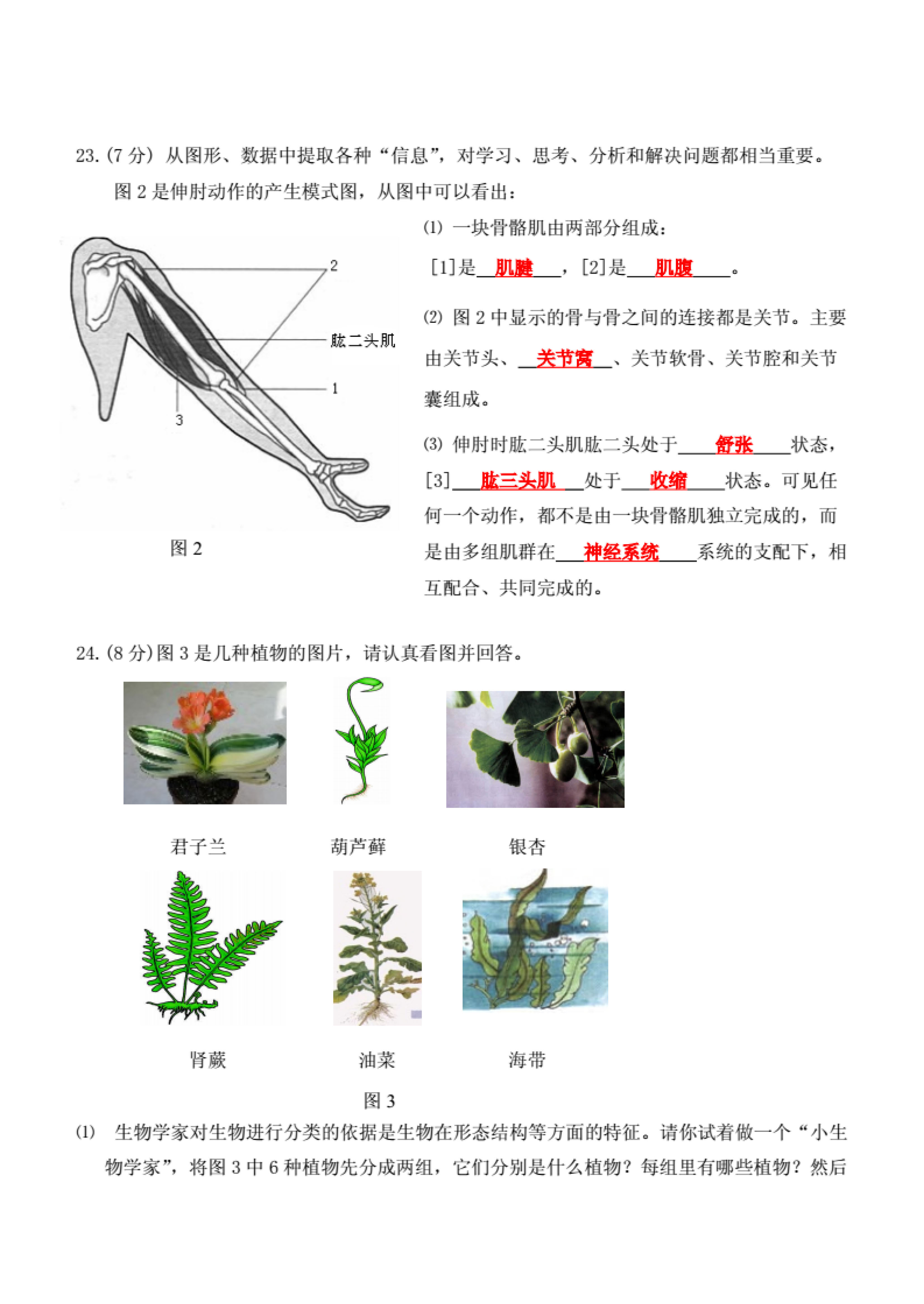 2019年 2020年贵州各县GDP_贵州gdp2020年总量(3)