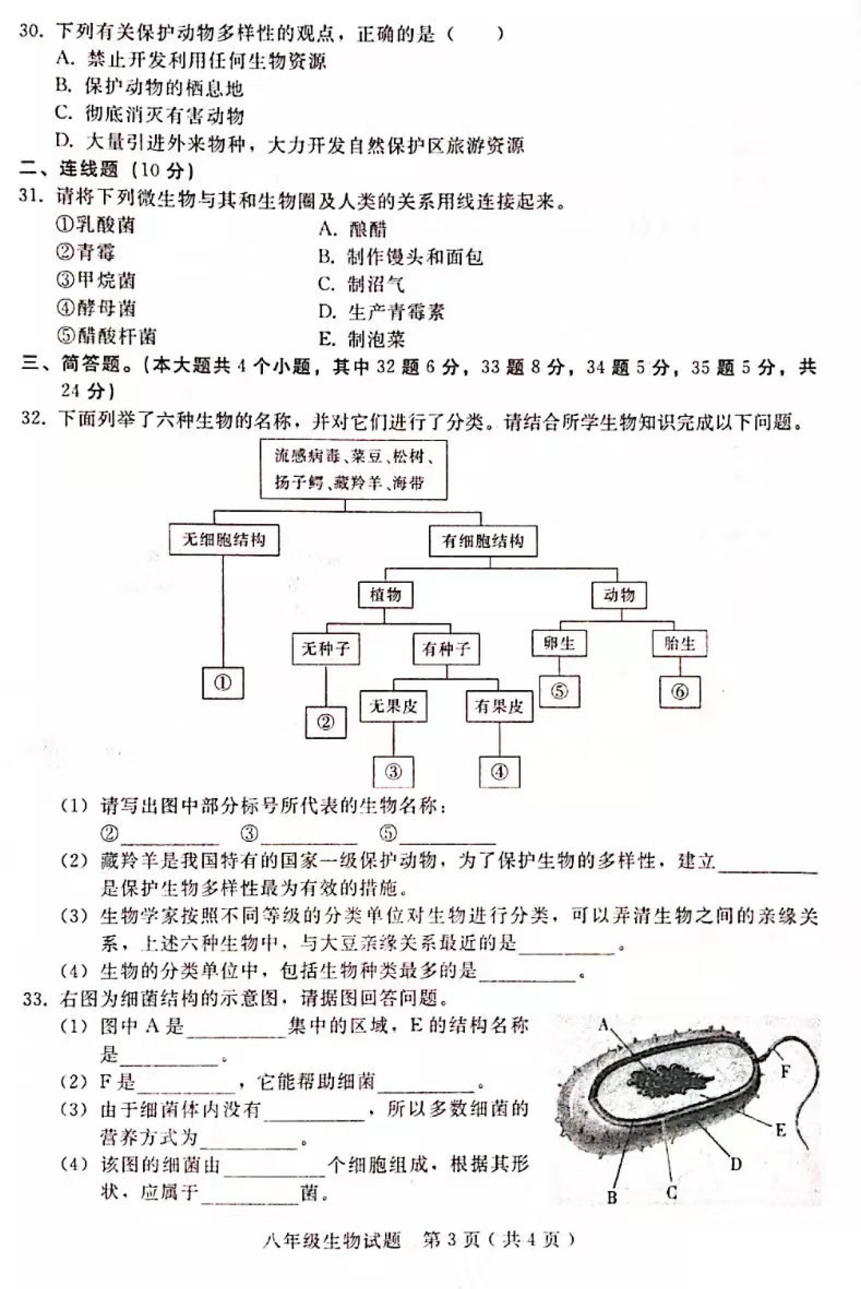 20192020邢台桥东区八年级生物上册期末试题含答案图片版